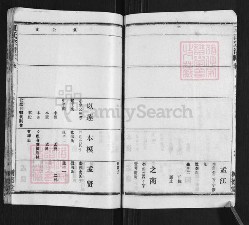湖北省黄冈市武穴市梅川镇夏氏树德堂族谱-夏氏宗谱.pdf电子版插图5