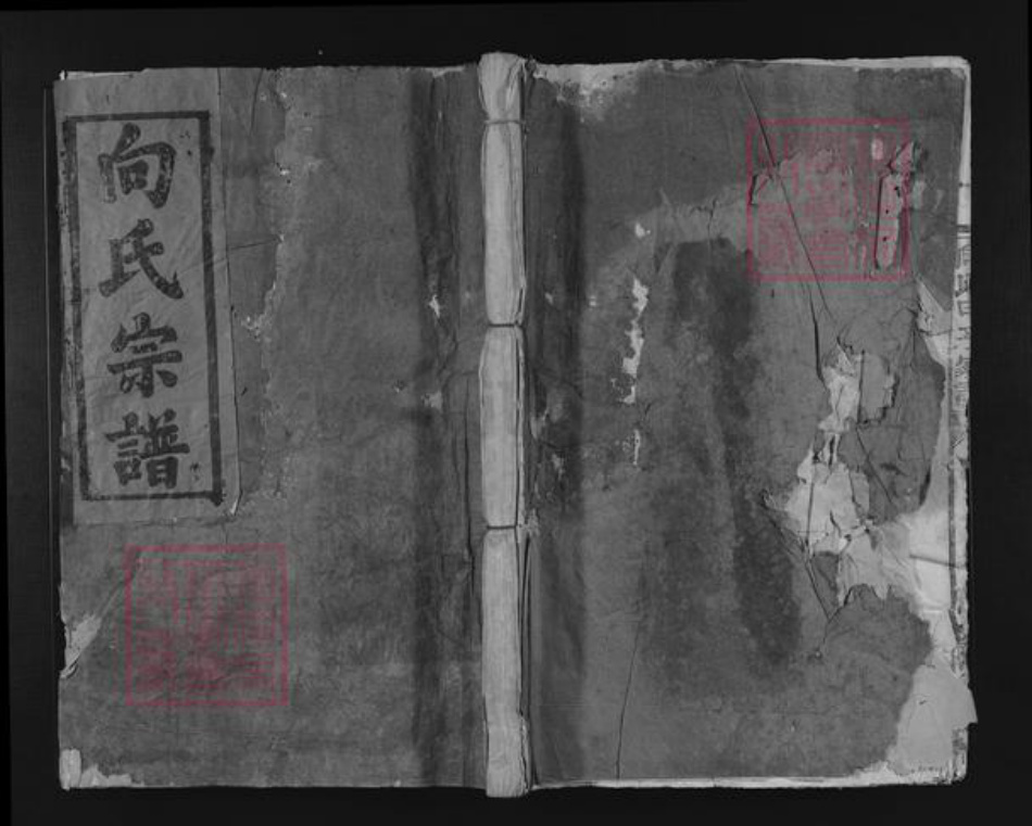 江西省赣州市宁都县向氏河内堂族谱-向氏甲子家谱.pdf电子版插图