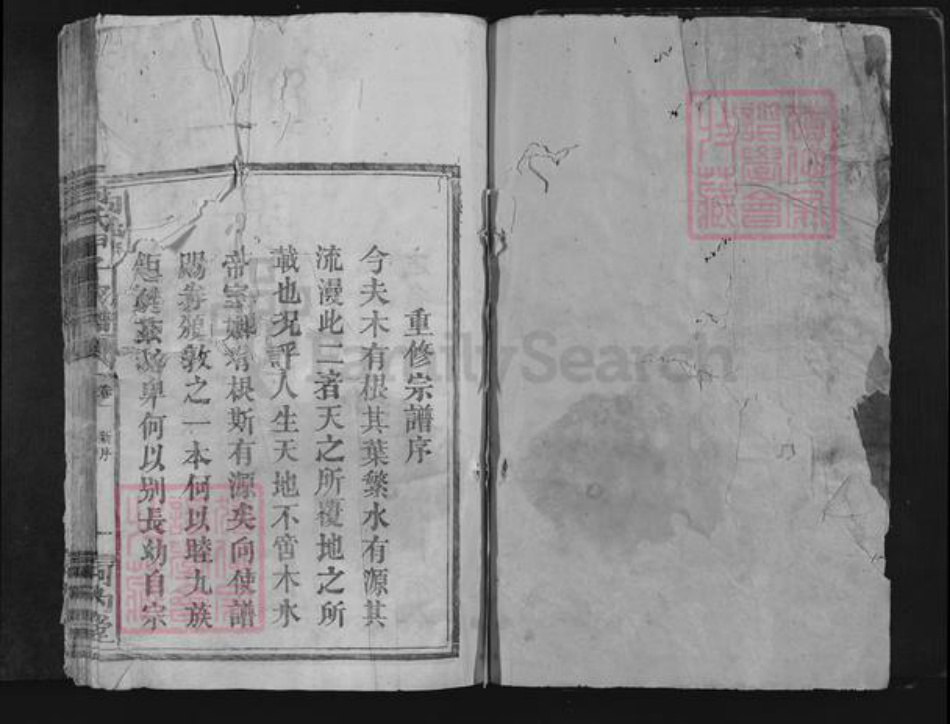 江西省赣州市宁都县向氏河内堂族谱-向氏甲子家谱.pdf电子版插图1