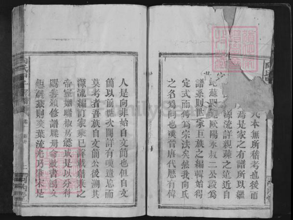 江西省赣州市宁都县向氏河内堂族谱-向氏甲子家谱.pdf电子版插图2