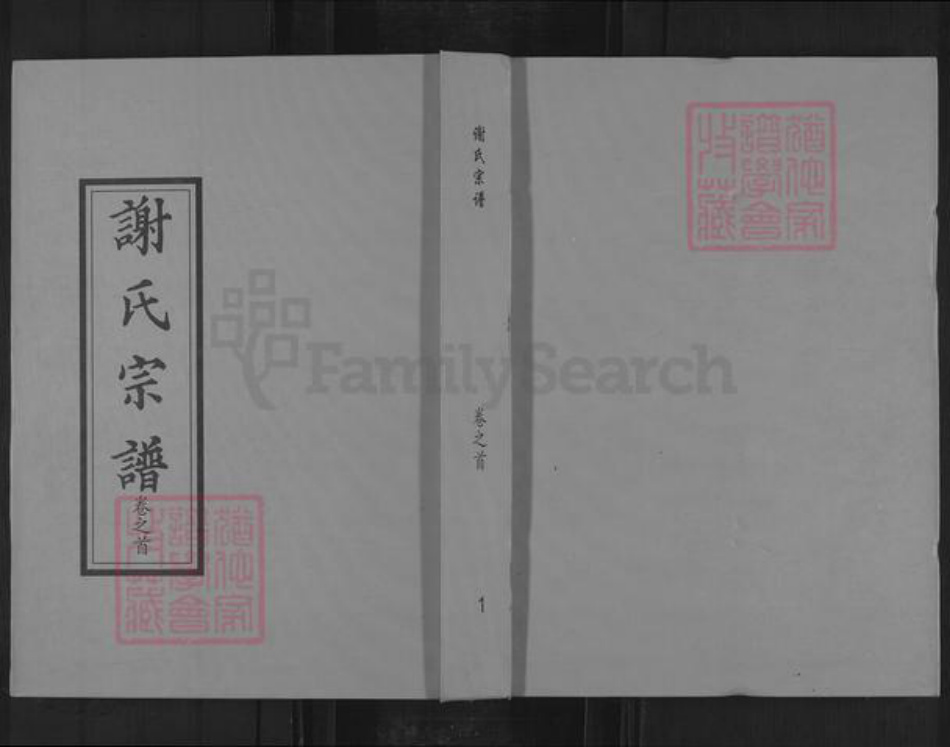 湖北省黄冈市麻城市谢氏宝树堂族谱-谢氏宗谱.pdf电子版插图