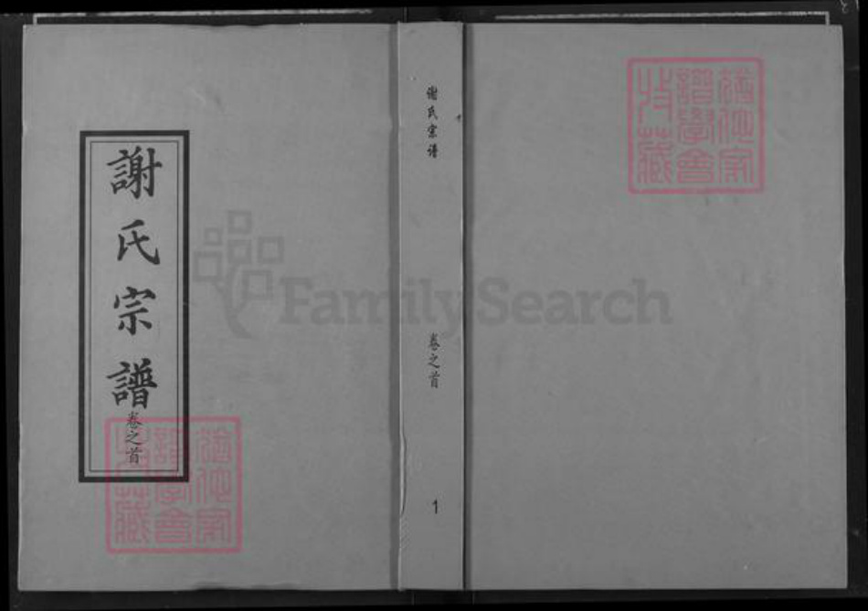 湖北省武汉市新洲区谢氏宝树堂族谱-谢氏宗谱.pdf电子版插图