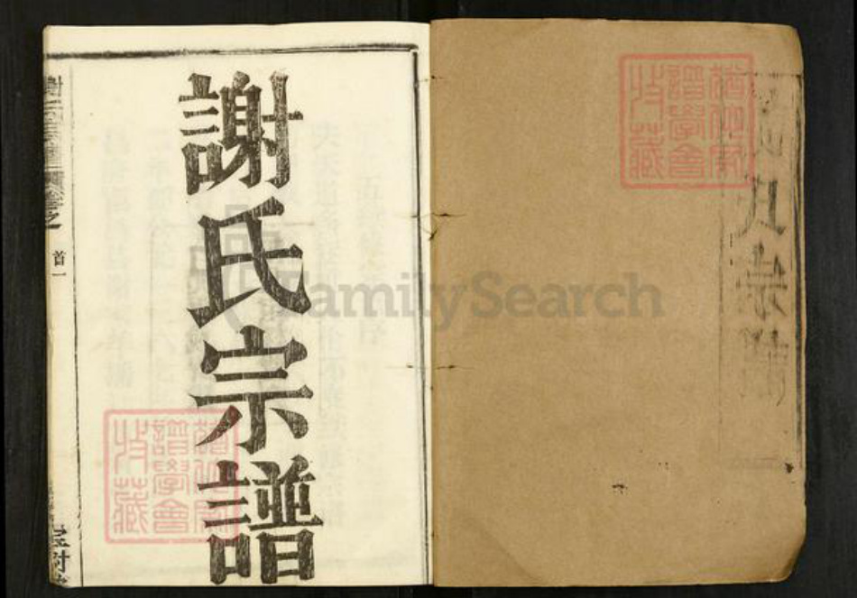 湖北省黄冈市黄州区谢氏宝树堂族谱-谢氏宗谱.pdf电子版插图1