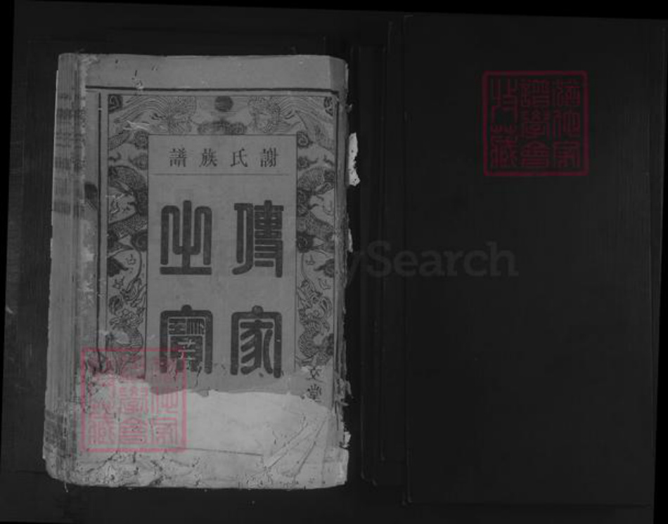江西省赣州市南康区谢氏族谱-谢氏族谱 [24卷].pdf电子版插图1