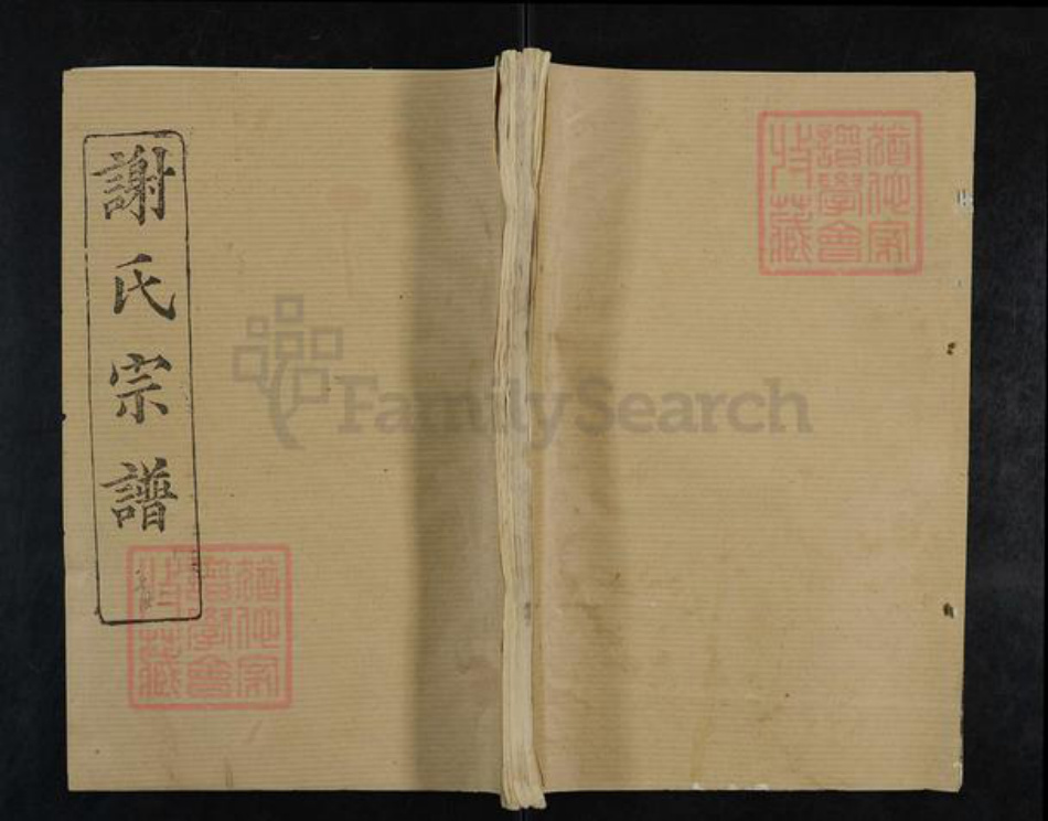 湖北省武汉市新洲区谢氏三传堂族谱-谢氏宗谱.pdf电子版插图
