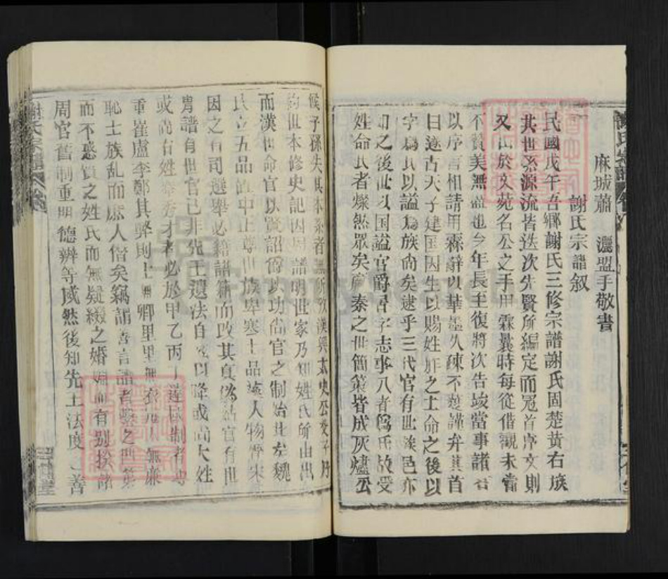 湖北省武汉市新洲区谢氏三传堂族谱-谢氏宗谱.pdf电子版插图3