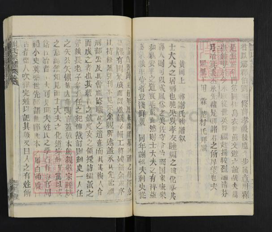 湖北省武汉市新洲区谢氏三传堂族谱-谢氏宗谱.pdf电子版插图5