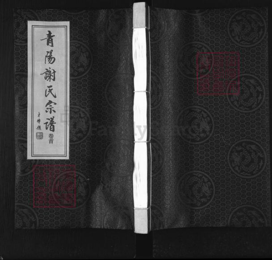 江苏省常州市新北区谢氏宝树堂族谱-青阳谢氏宗谱.pdf电子版插图