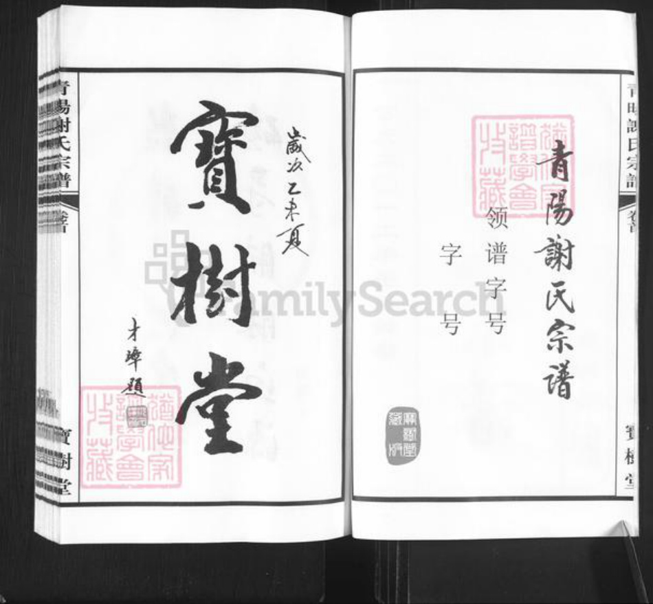 江苏省常州市新北区谢氏宝树堂族谱-青阳谢氏宗谱.pdf电子版插图2