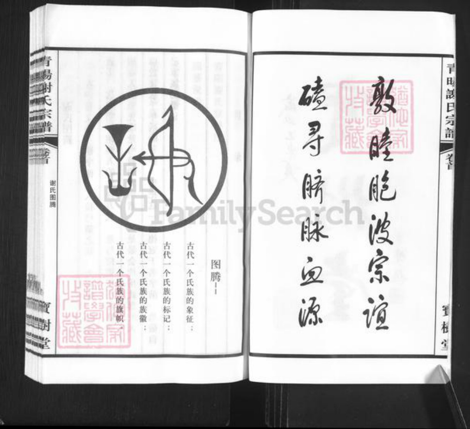 江苏省常州市新北区谢氏宝树堂族谱-青阳谢氏宗谱.pdf电子版插图3