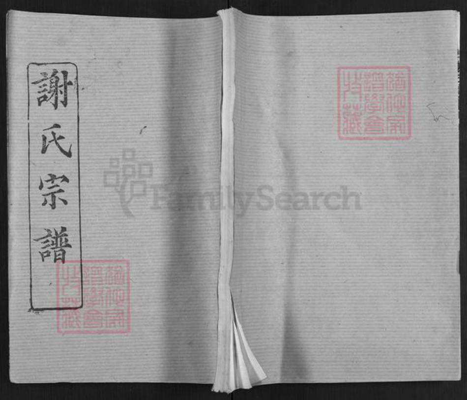 湖北省武汉市新洲区谢氏三傅堂族谱-谢氏宗谱.pdf电子版插图