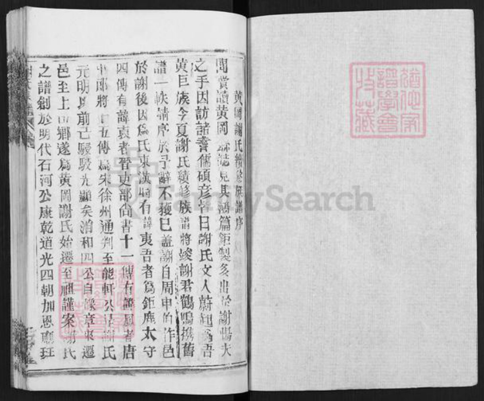 湖北省武汉市新洲区谢氏三傅堂族谱-谢氏宗谱.pdf电子版插图1