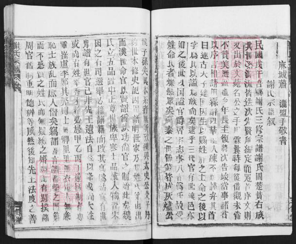 湖北省武汉市新洲区谢氏三傅堂族谱-谢氏宗谱.pdf电子版插图3