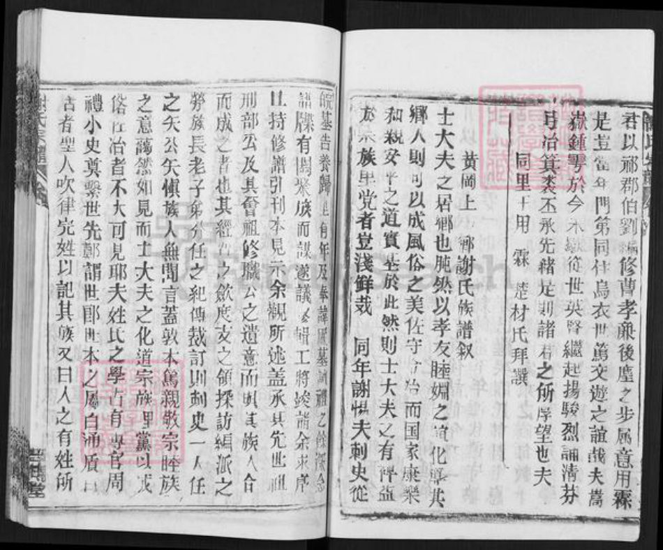 湖北省武汉市新洲区谢氏三傅堂族谱-谢氏宗谱.pdf电子版插图5