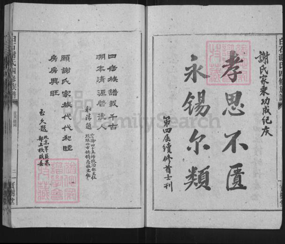 湖南省湘潭市湘乡市白田镇谢氏宝树堂族谱-白石谢氏四修族谱.pdf电子版插图2