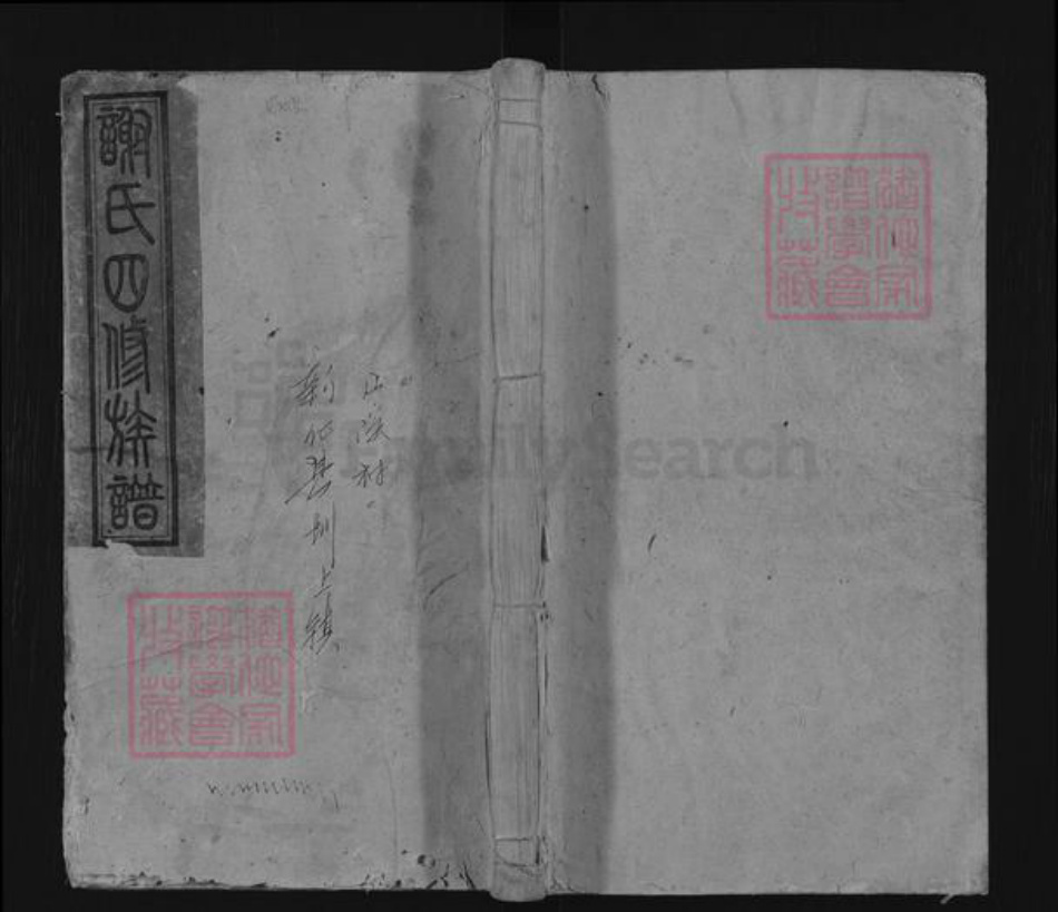 湖南省娄底市新化县谢氏式南堂族谱-谢氏四修族谱.pdf电子版插图