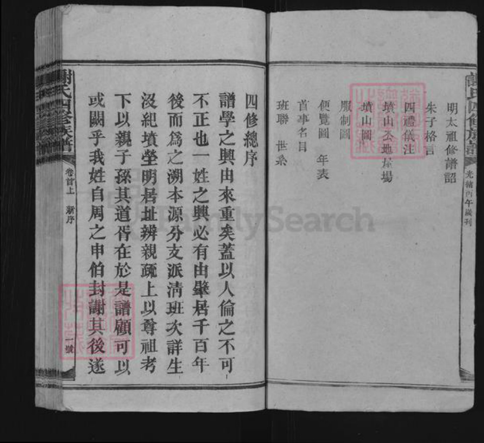 湖南省娄底市新化县谢氏式南堂族谱-谢氏四修族谱.pdf电子版插图3