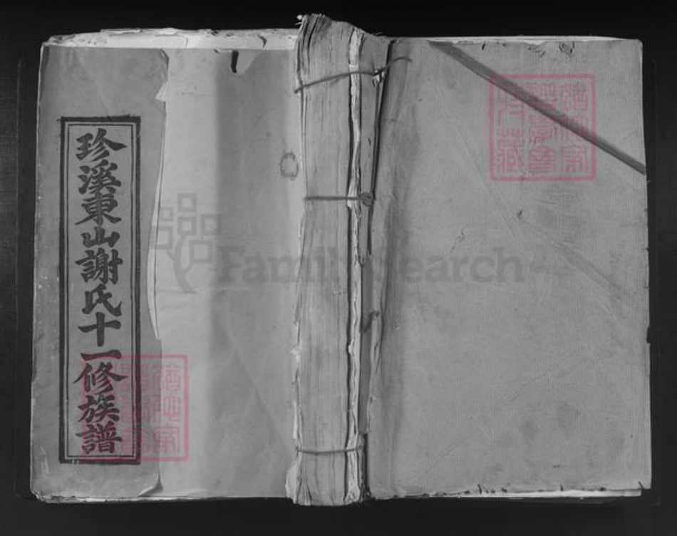 江西省赣州市宁都县黄陂镇谢氏族谱-珍溪东山谢氏十一修族谱.pdf电子版插图