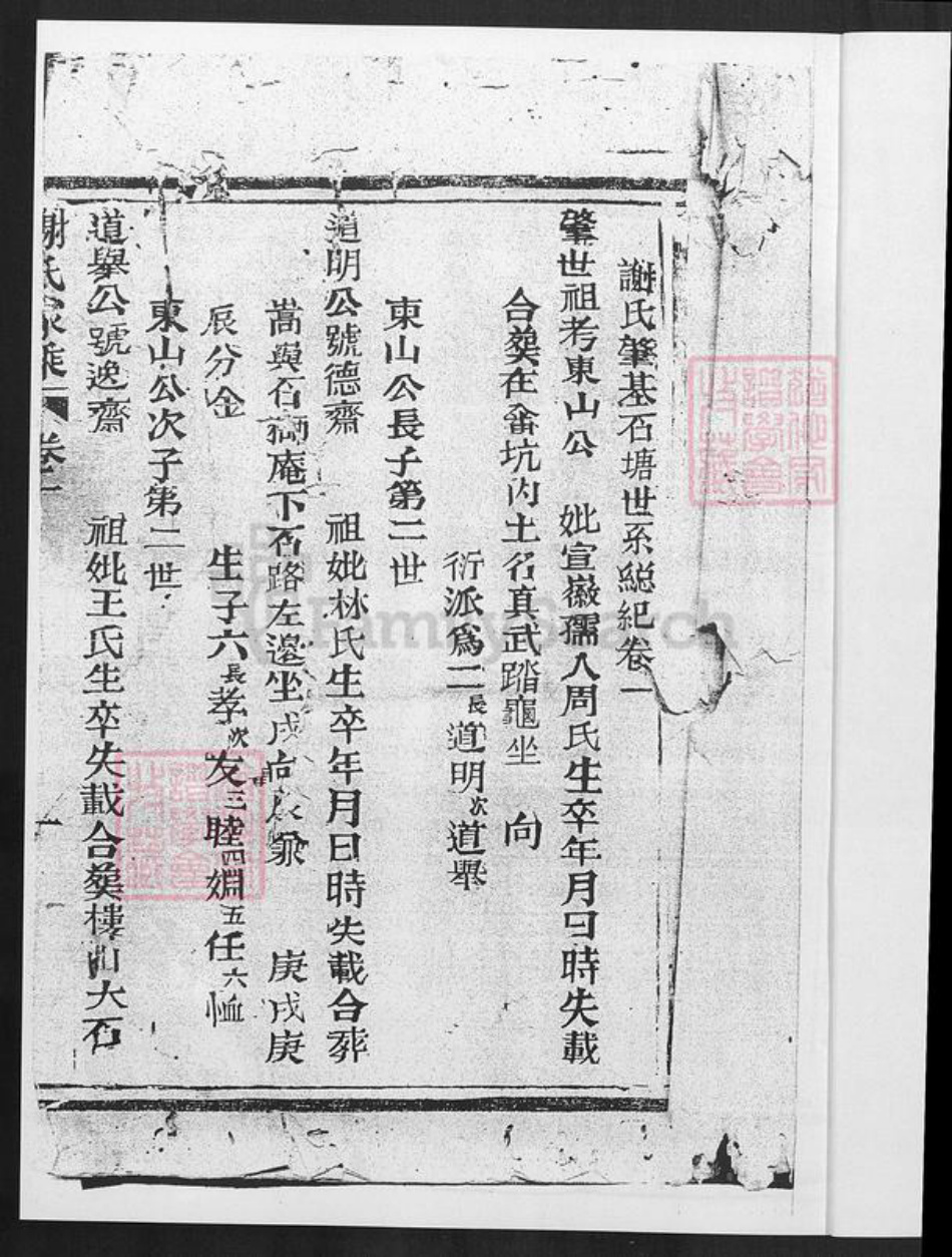 福建省厦门市海沧区谢氏族谱-石塘谢氏世谱.pdf电子版插图2