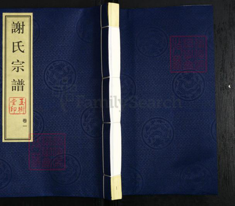 江苏省常州市新北区罗溪镇谢氏玉树堂族谱-谢氏宗谱.pdf电子版插图