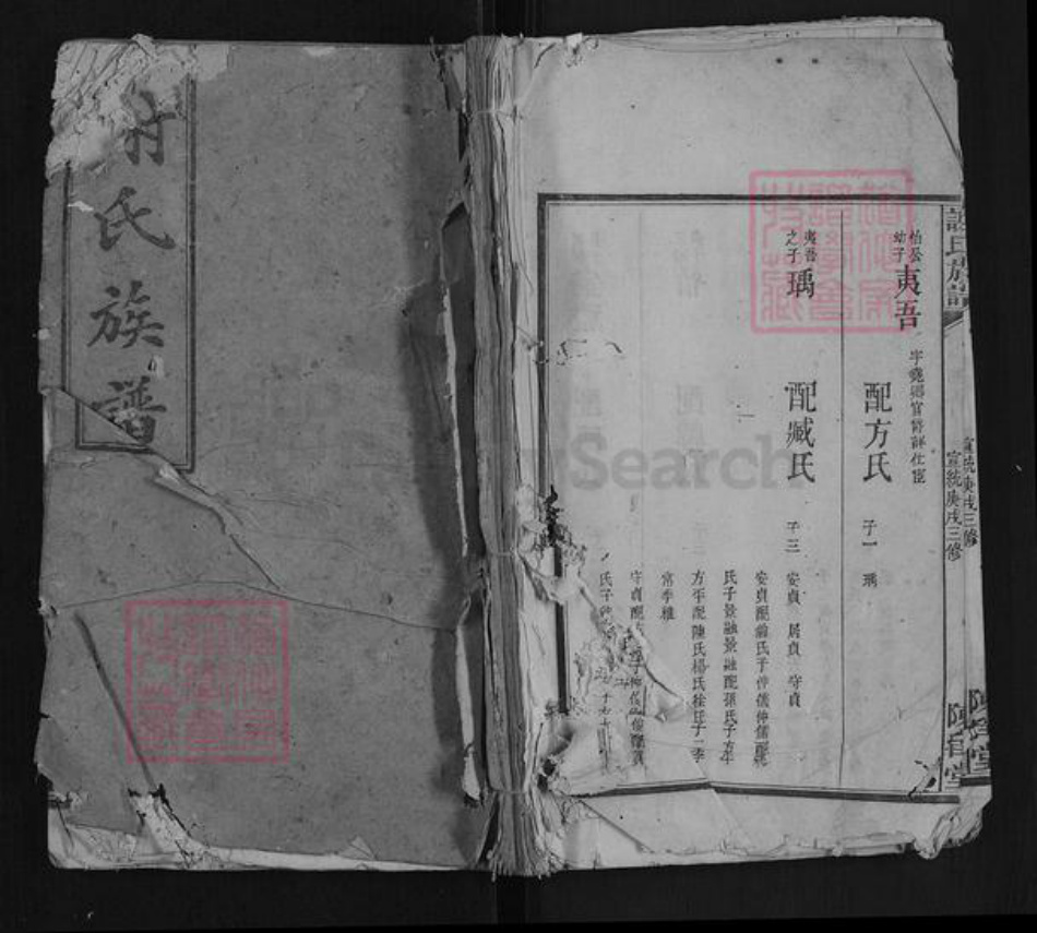 湖南省长沙市浏阳市浏阳谢氏族谱-谢氏族谱[38卷首1卷附1卷].pdf电子版插图