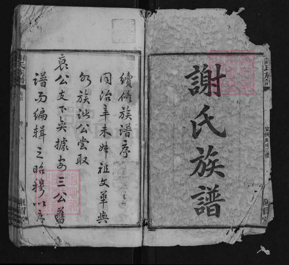 湖南省长沙市浏阳市浏阳谢氏族谱-谢氏族谱[38卷首1卷附1卷].pdf电子版插图1