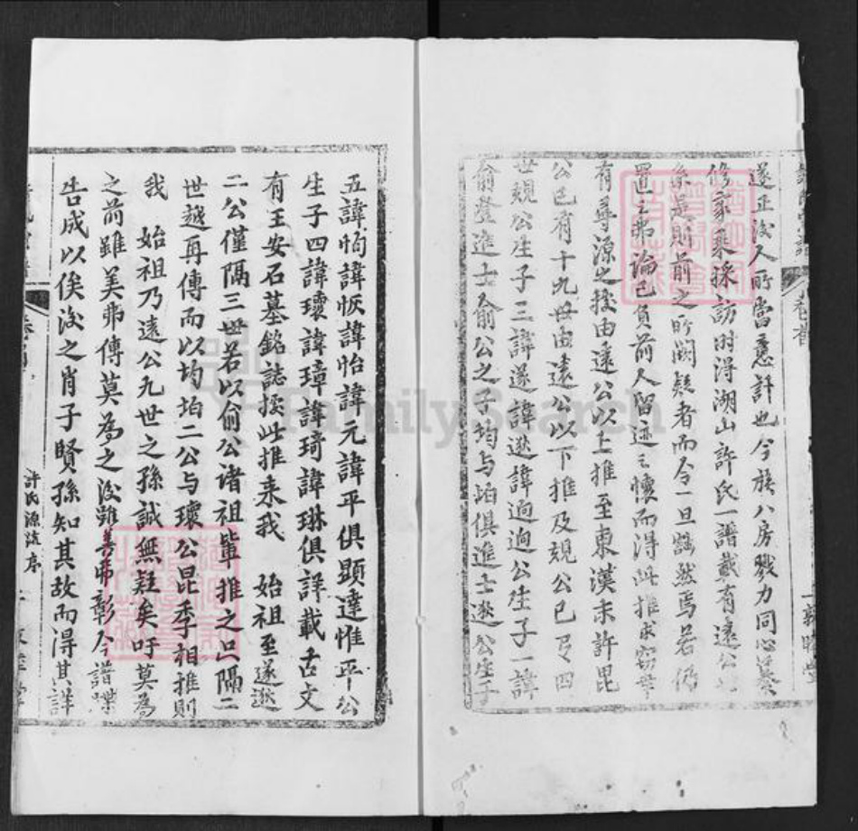 湖北省武汉市新洲区许氏敦睦堂族谱-许氏宗谱.pdf电子版插图2