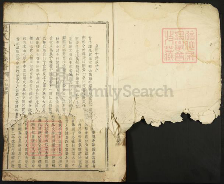 江西省赣州市宁都县洛口镇严氏族谱-严氏十修大成族谱.pdf电子版插图1 江西省赣州市宁都县洛口镇严氏族谱-严氏十修大成族谱.pdf电子版插图1