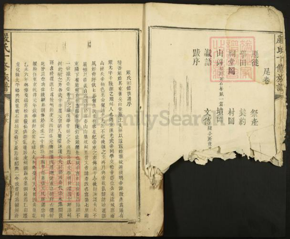 江西省赣州市宁都县洛口镇严氏族谱-严氏十修大成族谱.pdf电子版插图3 江西省赣州市宁都县洛口镇严氏族谱-严氏十修大成族谱.pdf电子版插图3