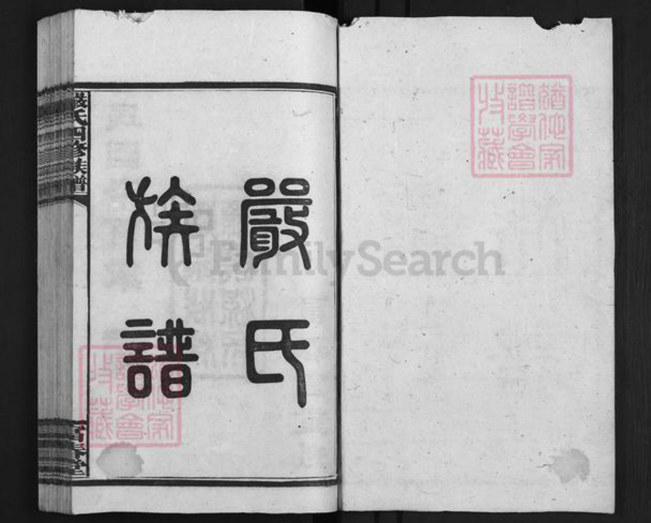 湖南省益阳市安化县梅城镇严氏富春堂族谱-安化严氏族谱.pdf电子版插图1