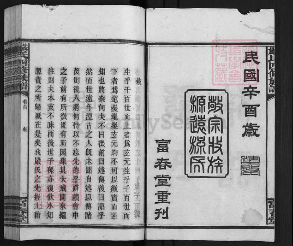 湖南省益阳市安化县梅城镇严氏富春堂族谱-安化严氏族谱.pdf电子版插图2