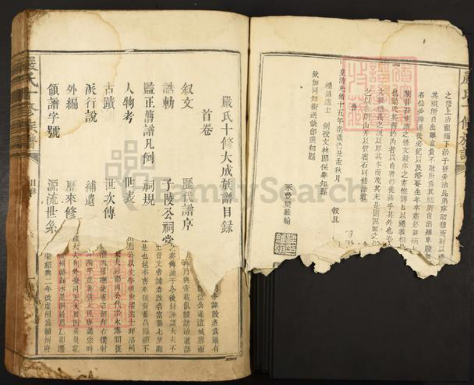 江西省赣州市宁都县严氏族谱-严氏十修族谱.pdf电子版插图2