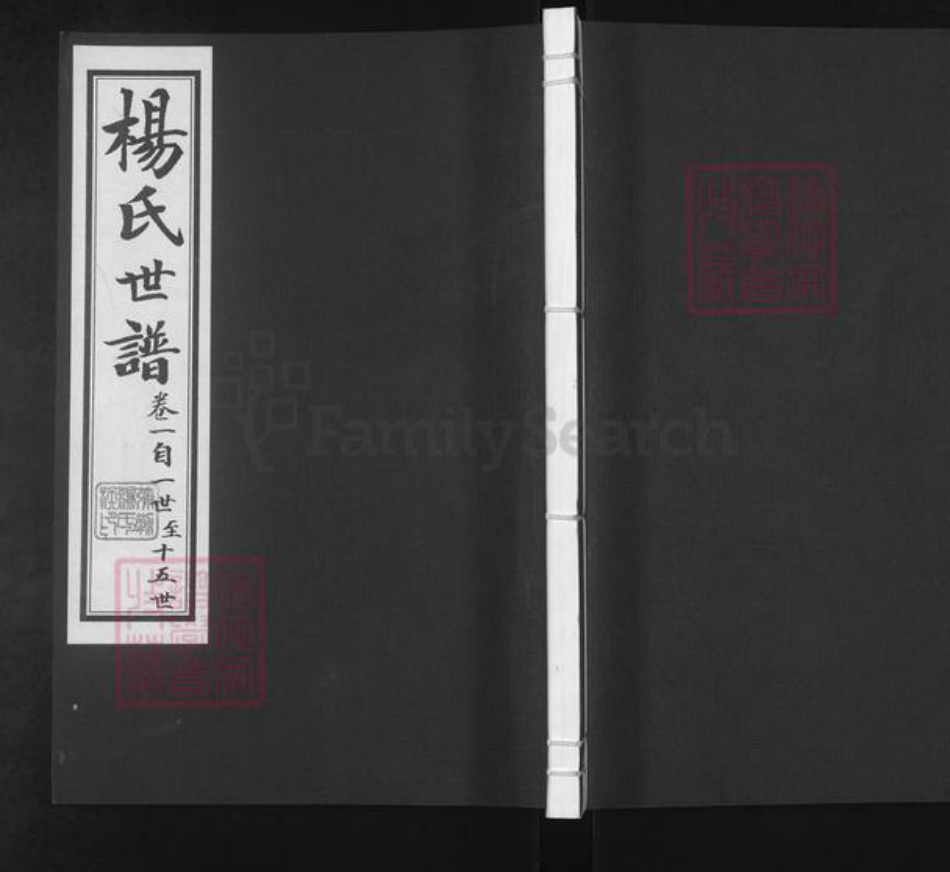 山东省滨州市邹平市杨氏族谱-杨氏世谱.pdf电子版