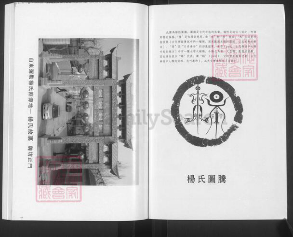 山东省滨州市邹平市杨氏族谱-杨氏世谱.pdf电子版插图2