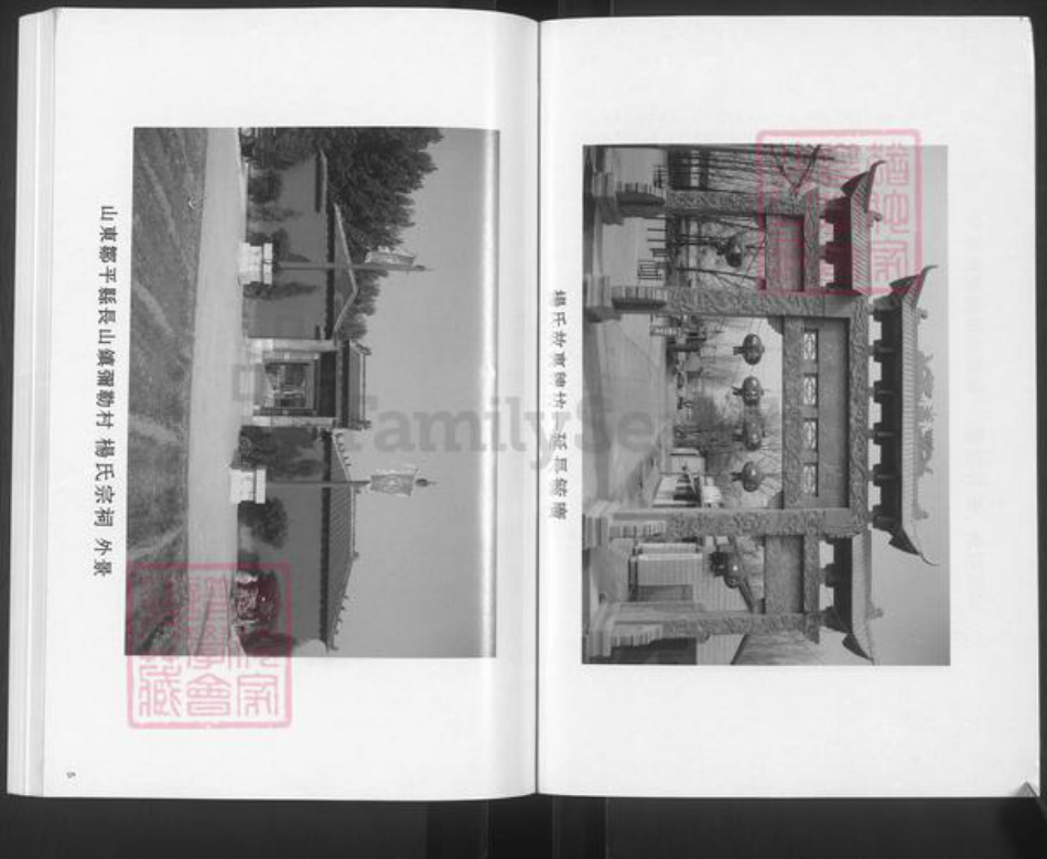 山东省滨州市邹平市杨氏族谱-杨氏世谱.pdf电子版插图3