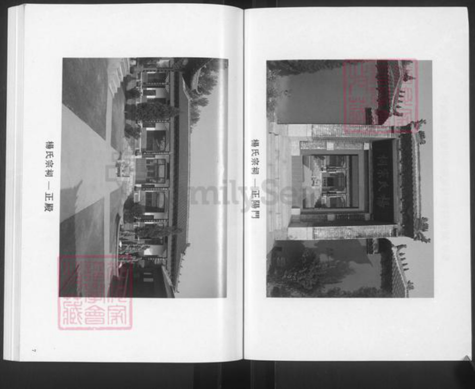 山东省滨州市邹平市杨氏族谱-杨氏世谱.pdf电子版插图4