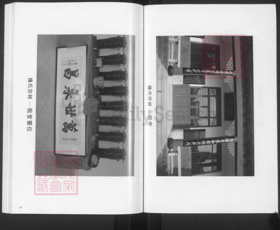 山东省滨州市邹平市杨氏族谱-杨氏世谱.pdf电子版插图5