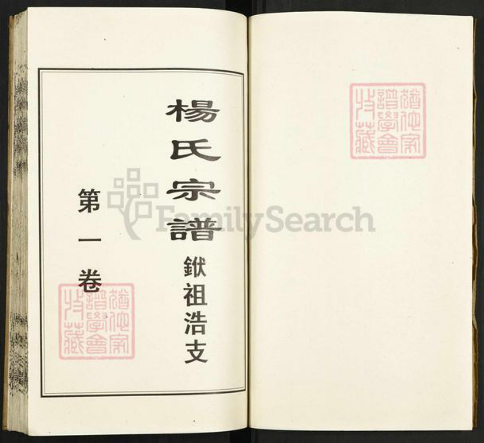 湖北省孝感市孝昌县陡山乡杨氏四知堂族谱-杨氏宗谱.pdf电子版插图2