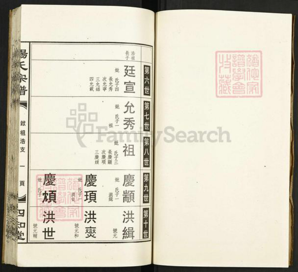 湖北省孝感市孝昌县陡山乡杨氏四知堂族谱-杨氏宗谱.pdf电子版插图3