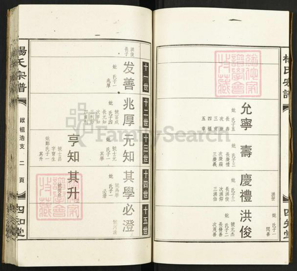 湖北省孝感市孝昌县陡山乡杨氏四知堂族谱-杨氏宗谱.pdf电子版插图4