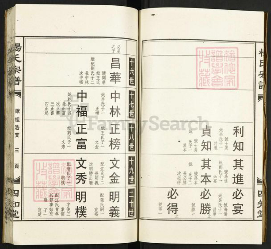 湖北省孝感市孝昌县陡山乡杨氏四知堂族谱-杨氏宗谱.pdf电子版插图5