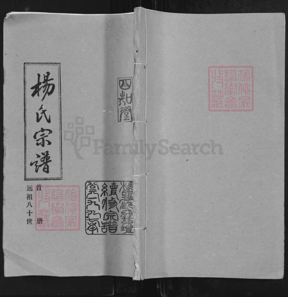 湖北省孝感市孝昌县陡山乡杨氏四知堂族谱-杨氏宗谱.pdf电子版插图