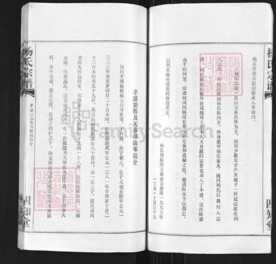 湖北省孝感市孝昌县陡山乡杨氏四知堂族谱-杨氏宗谱.pdf电子版插图3