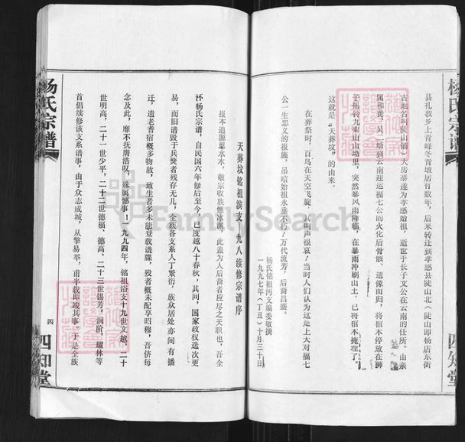 湖北省孝感市孝昌县陡山乡杨氏四知堂族谱-杨氏宗谱.pdf电子版插图4