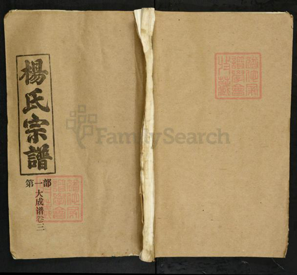 湖北省杨氏四知堂族谱-杨氏宗谱.pdf电子版插图