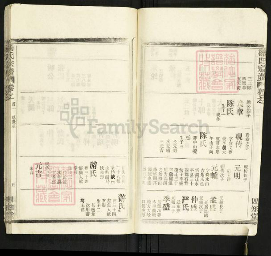 湖北省杨氏四知堂族谱-杨氏宗谱.pdf电子版插图5