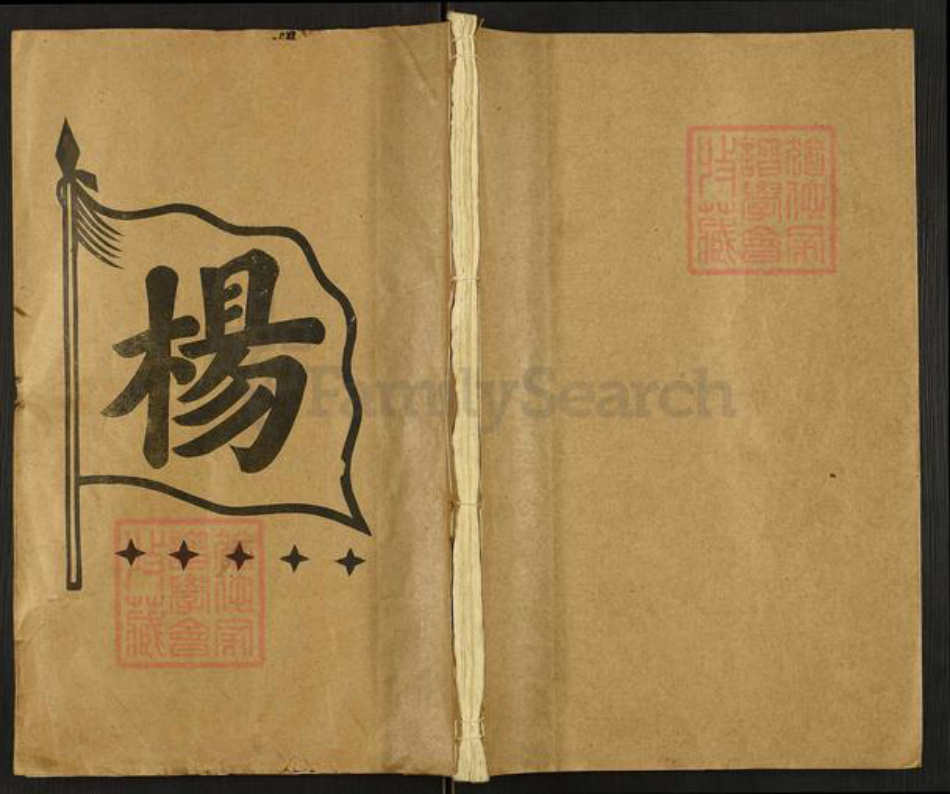 湖南省邵阳市邵阳县杨氏族谱-杨氏八修族史.pdf电子版插图