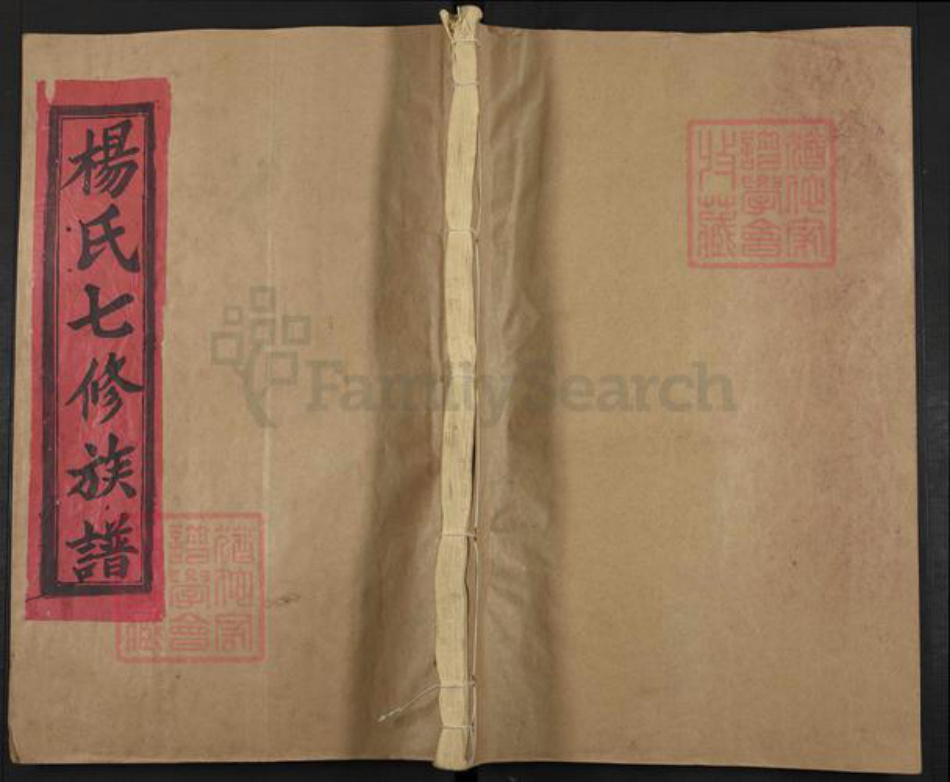 江西省抚州市南丰县杨氏族谱-公元一九九三年杨氏族谱.pdf电子版插图