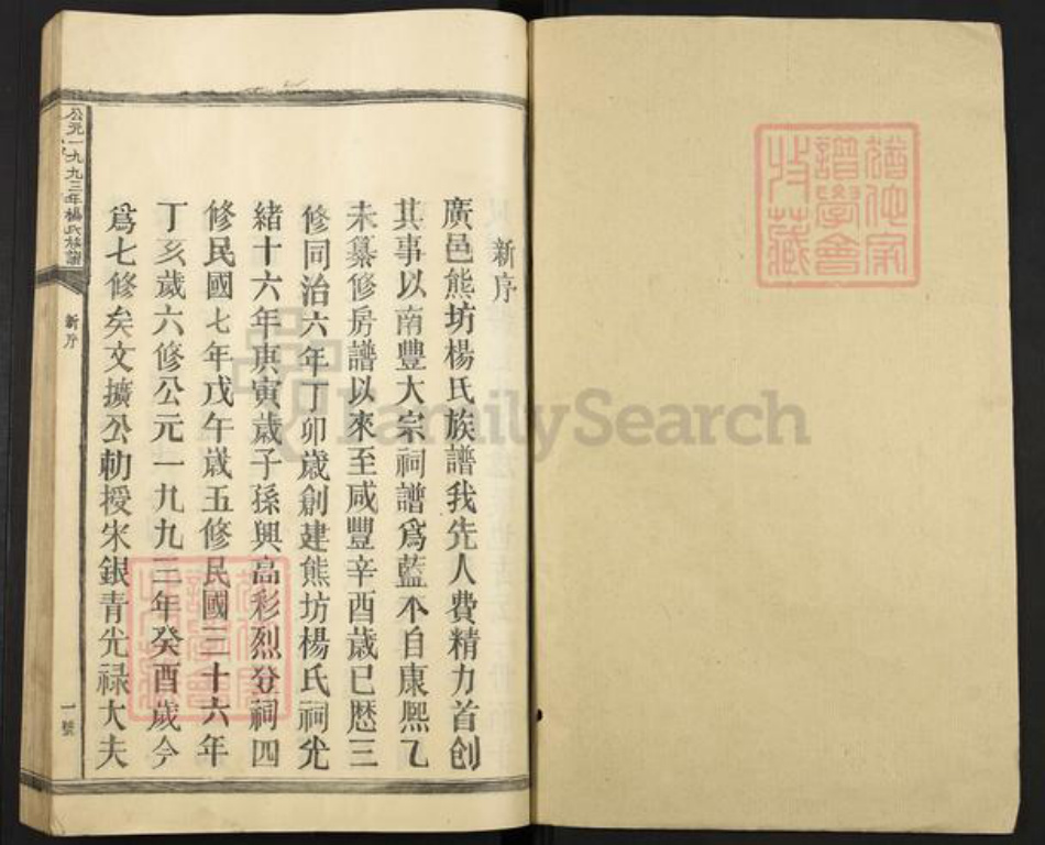 江西省抚州市南丰县杨氏族谱-公元一九九三年杨氏族谱.pdf电子版插图1