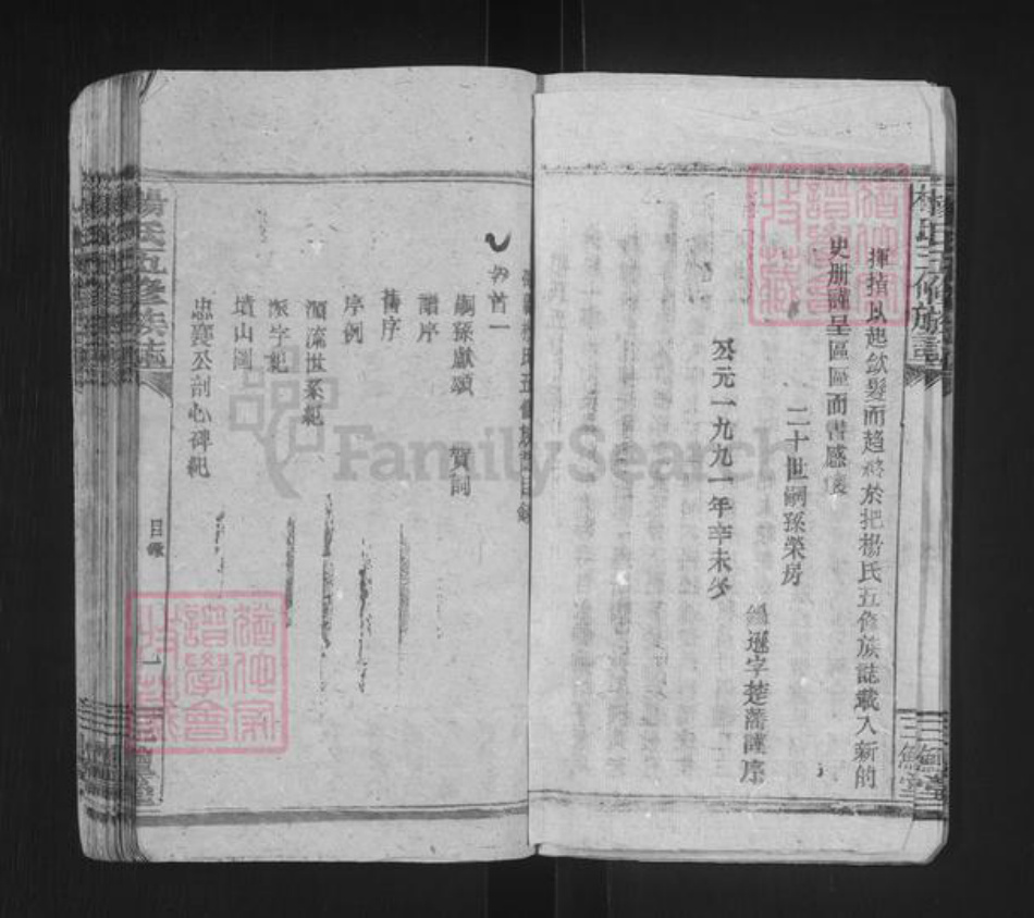湖南省邵阳市邵东杨氏三鳣堂族谱-杨氏五修族志.pdf电子版插图4